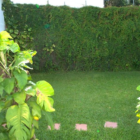 Beautiful Jungle House On A Strategic Location Villa Cancun Bagian luar foto