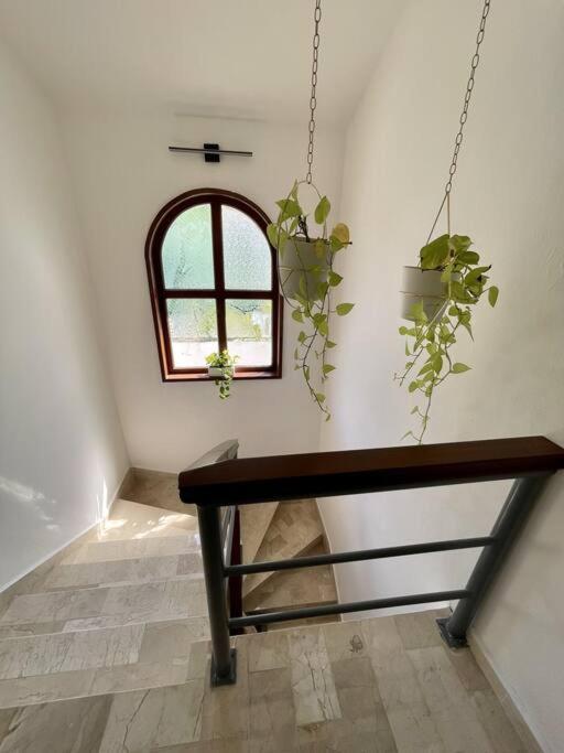 Beautiful Jungle House On A Strategic Location Villa Cancun Bagian luar foto