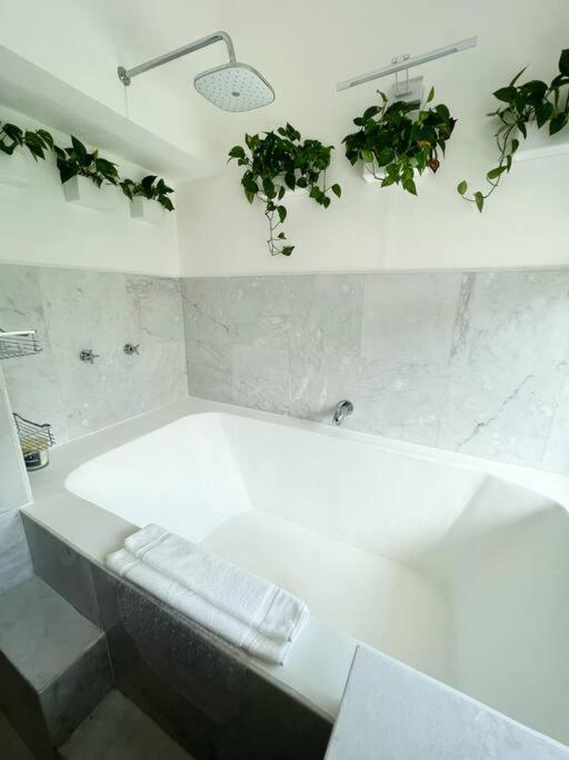 Beautiful Jungle House On A Strategic Location Villa Cancun Bagian luar foto